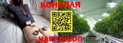 прущие крисы Бийск