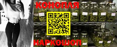 прущие крисы Бийск