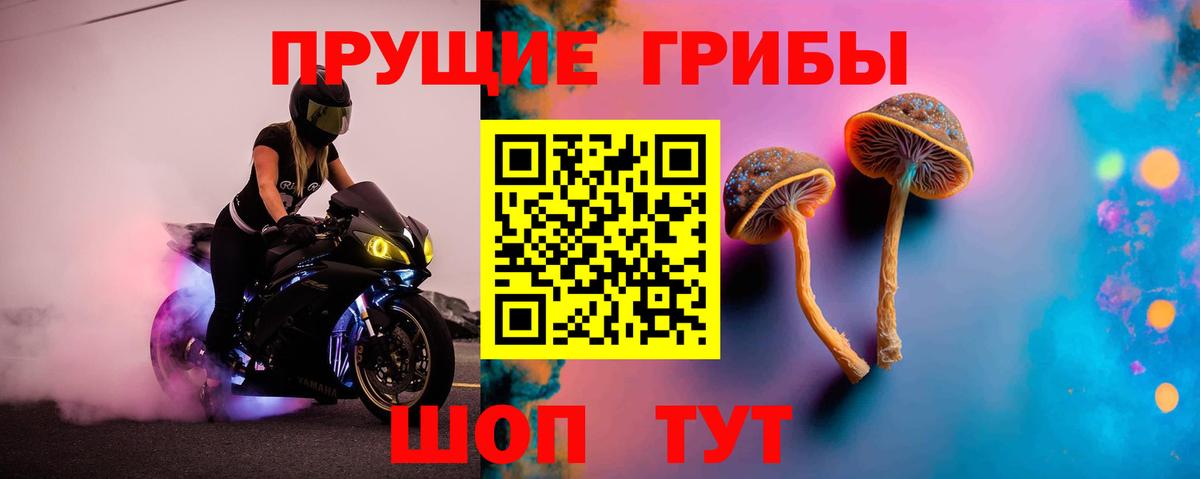 Галлюциногенные грибы мицелий  Вход с VPN  Зеленокумск 